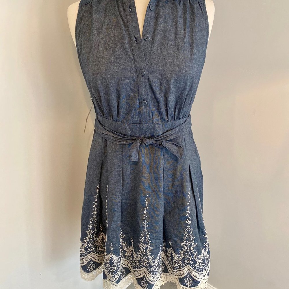 Denim Chambray embroidered dress